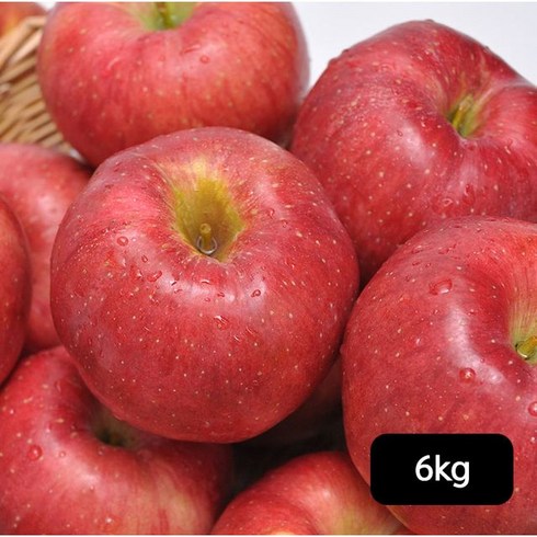 가장 저렴한 열매나무 못난이 후지 사과 3kg3kg 베스트5